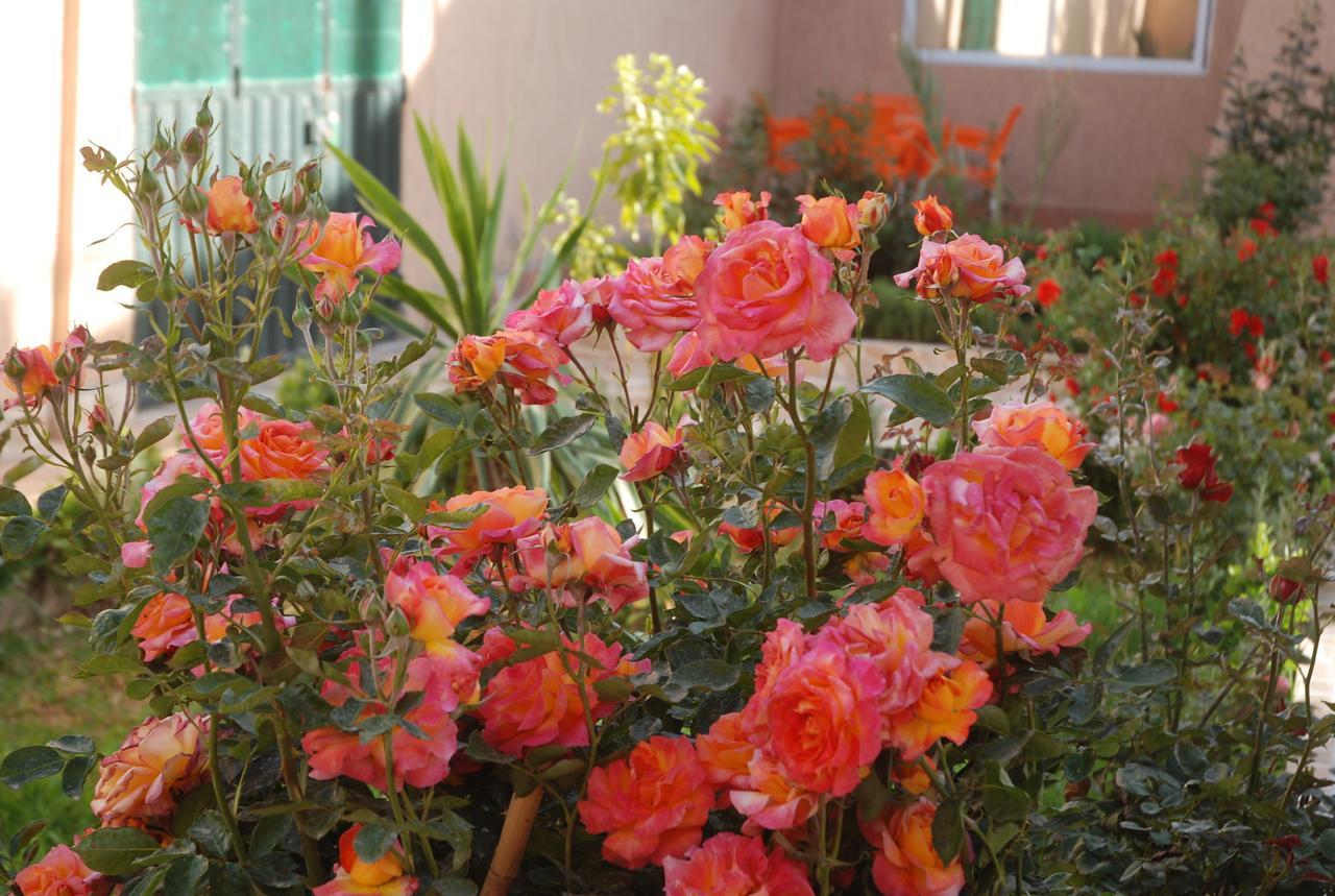 Kasbah Dounia Otel Kerrando Dış mekan fotoğraf